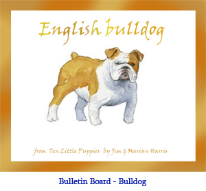 Bulletin board art of an English bulldog.  By artist Jim Harris, from the wiggly-eyeball book, Ten Little Puppies.
